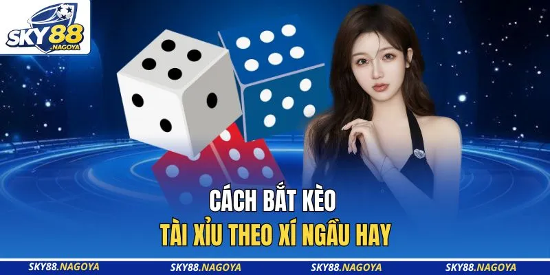 Cách bắt kèo Tài Xỉu theo xí ngầu hay