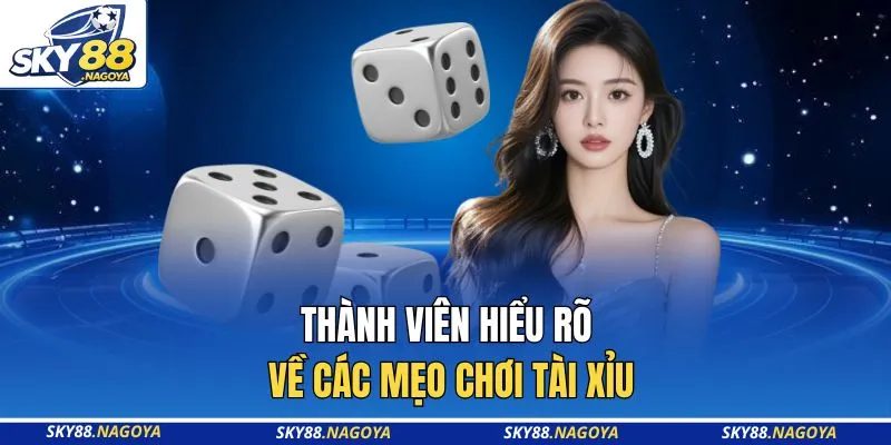 Thành viên hiểu rõ về các mẹo chơi tài xỉu
